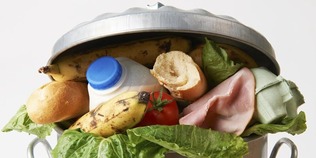 Expert panel discussion on reducing the impact of food waste